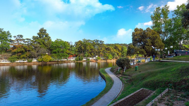 Meghalaya — “Cloud-Kissed Hills & Hidden Waterfalls”